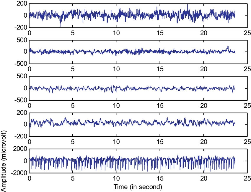 Sample EEG data
